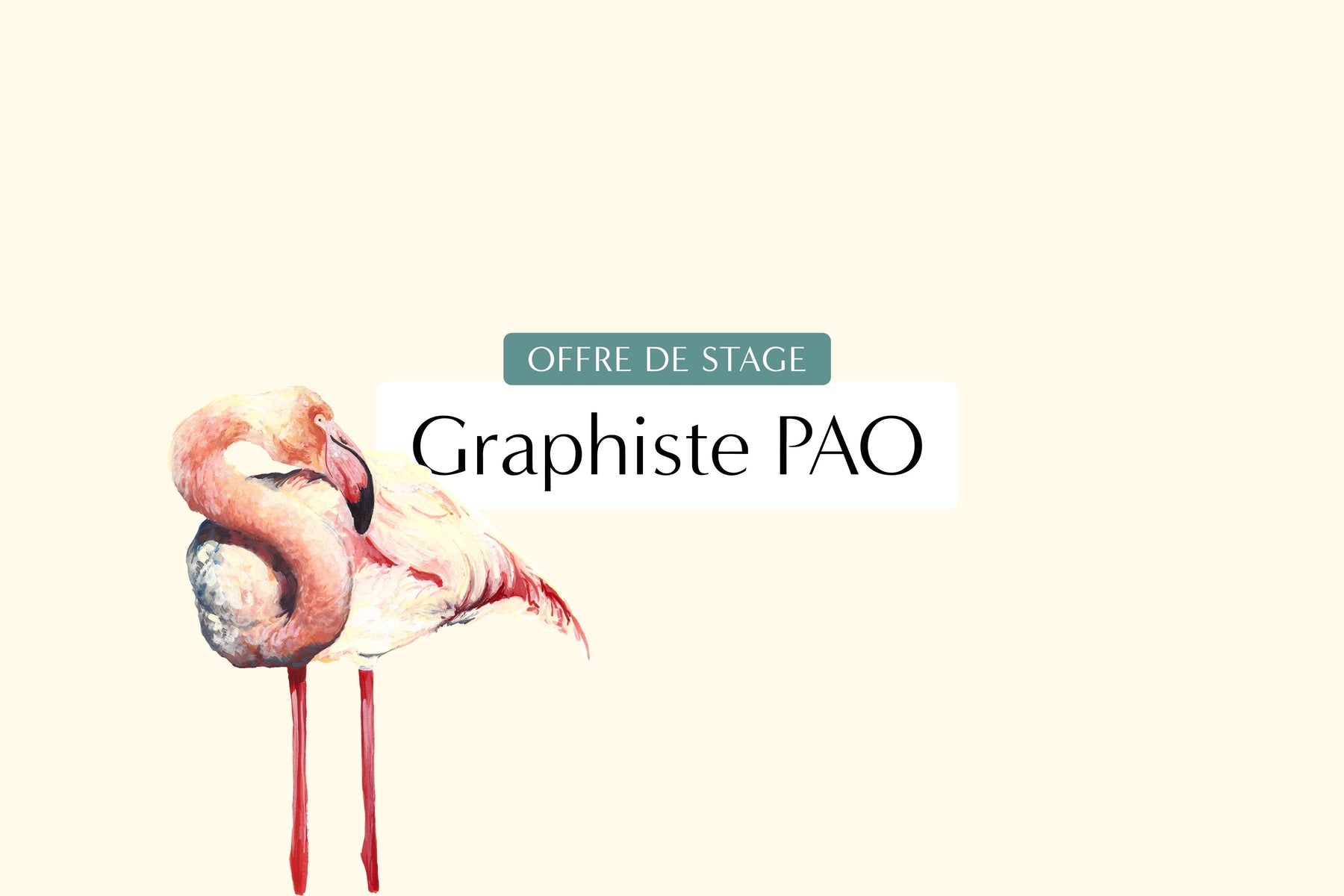 Stage graphiste PAO / Exécution Print (H/F)