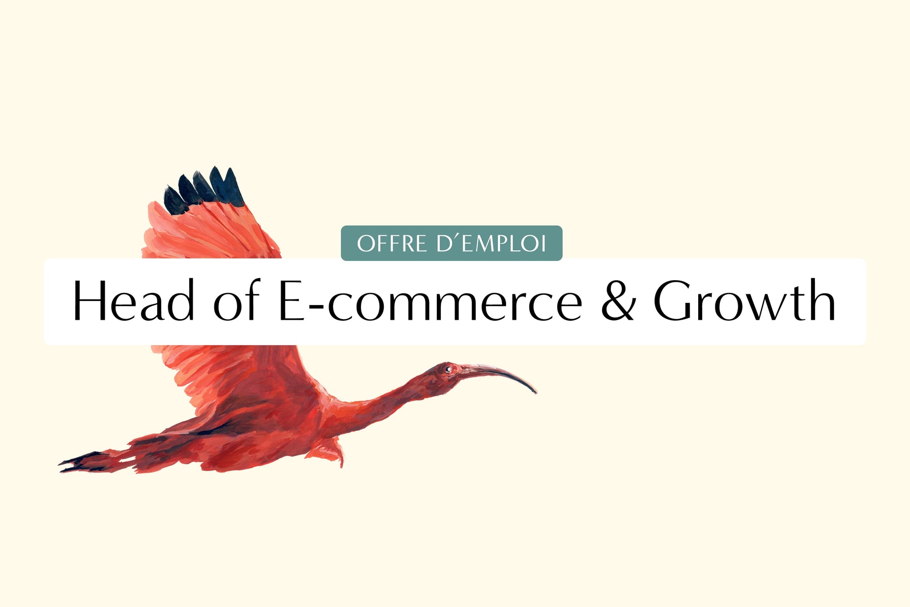 Emploi : Head of E-commerce & Growth
