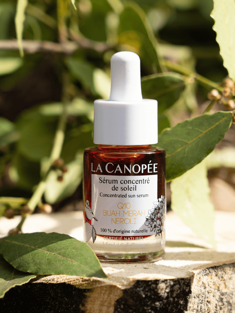 Sérum concentré de soleil