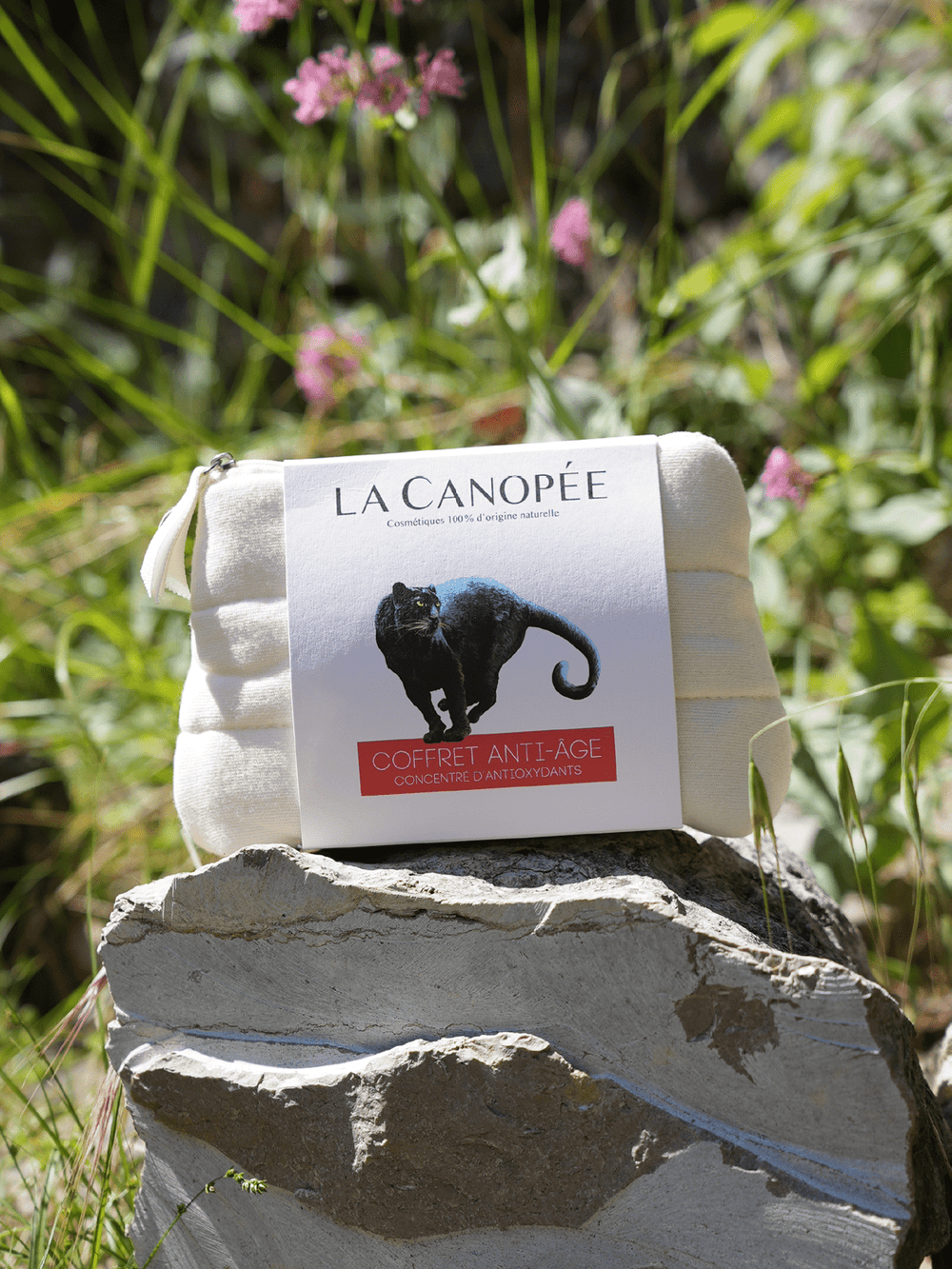 Coffret Anti-âge concentré d'antioxydants