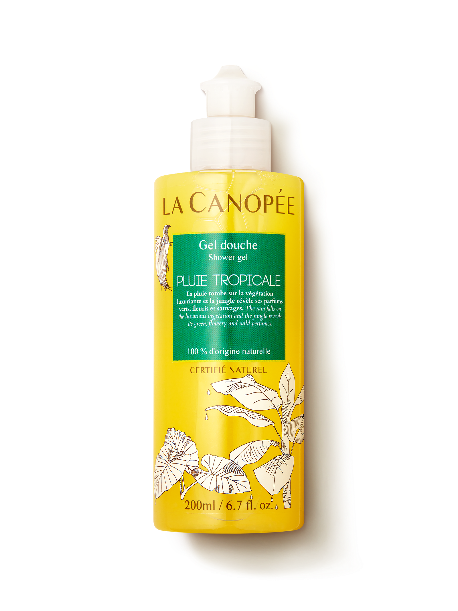 Gel Douche Venus Évasion Tropicale 240 Ml – Senteur Fleur – Vert – Peau Normale – Commerce équitable