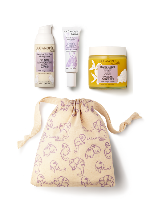 Ouistiti maman et bébé