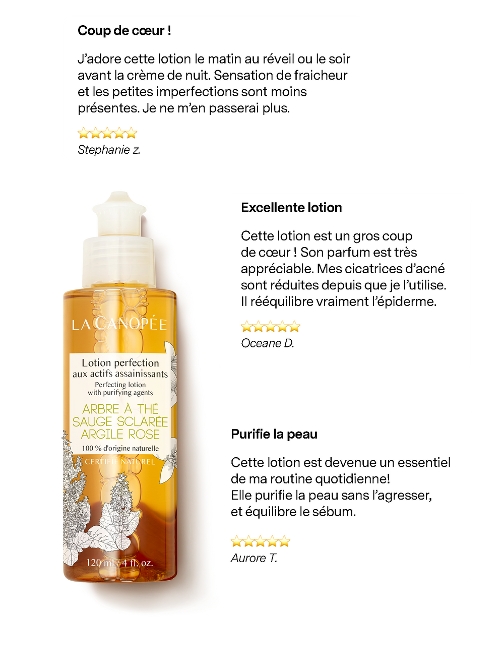 Lotion perfection aux actifs assainissants