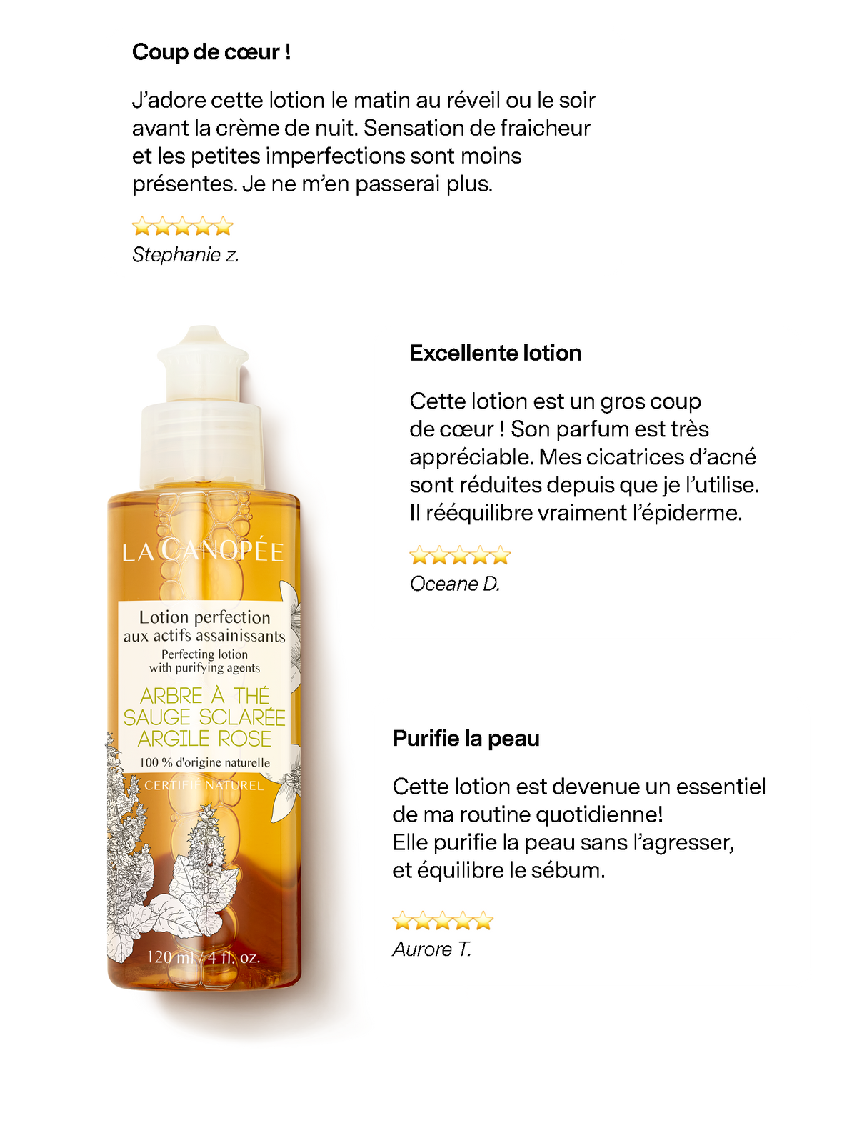 Lotion perfection aux actifs assainissants