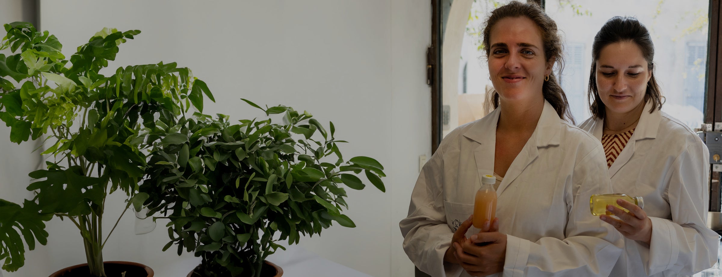 Fabrication cosmétique naturelle à Grasse : l’expertise La Canopée