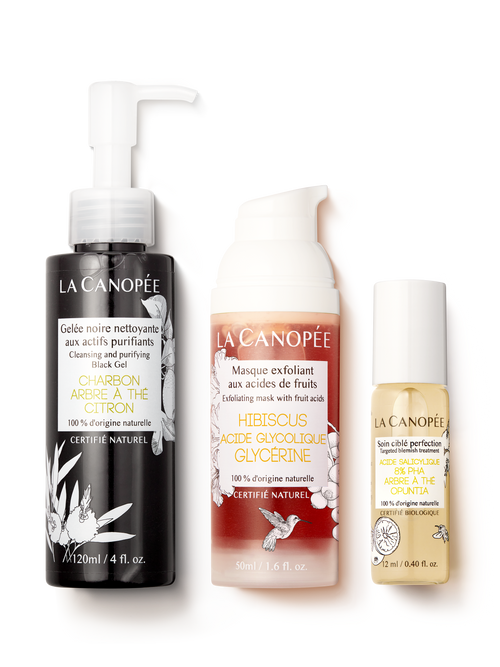 Perfect Skin Trio